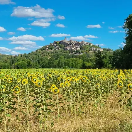 La Maison Au Tilleul * Labarthe-Bleys
