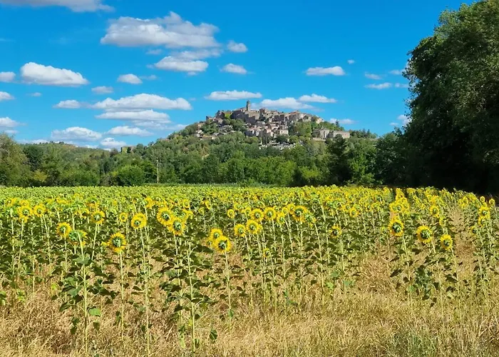 La Maison Au Tilleul * Labarthe-Bleys