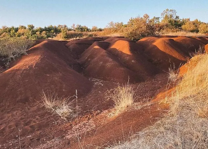La Maison Au Tilleul Ferienhaus